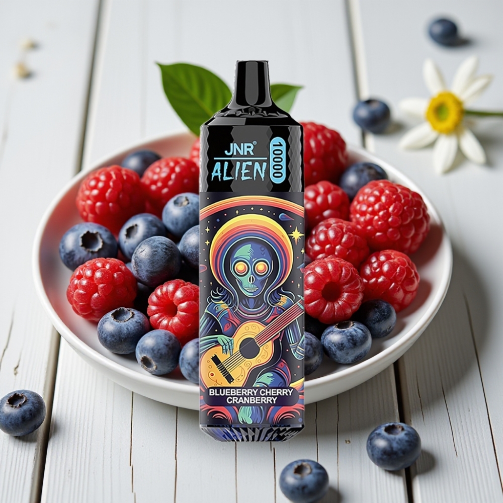 JNR Alien 10000 Puffs Yaban Mersini Kiraz Turna Yemişli 850mAh 20ml Type-C RGB