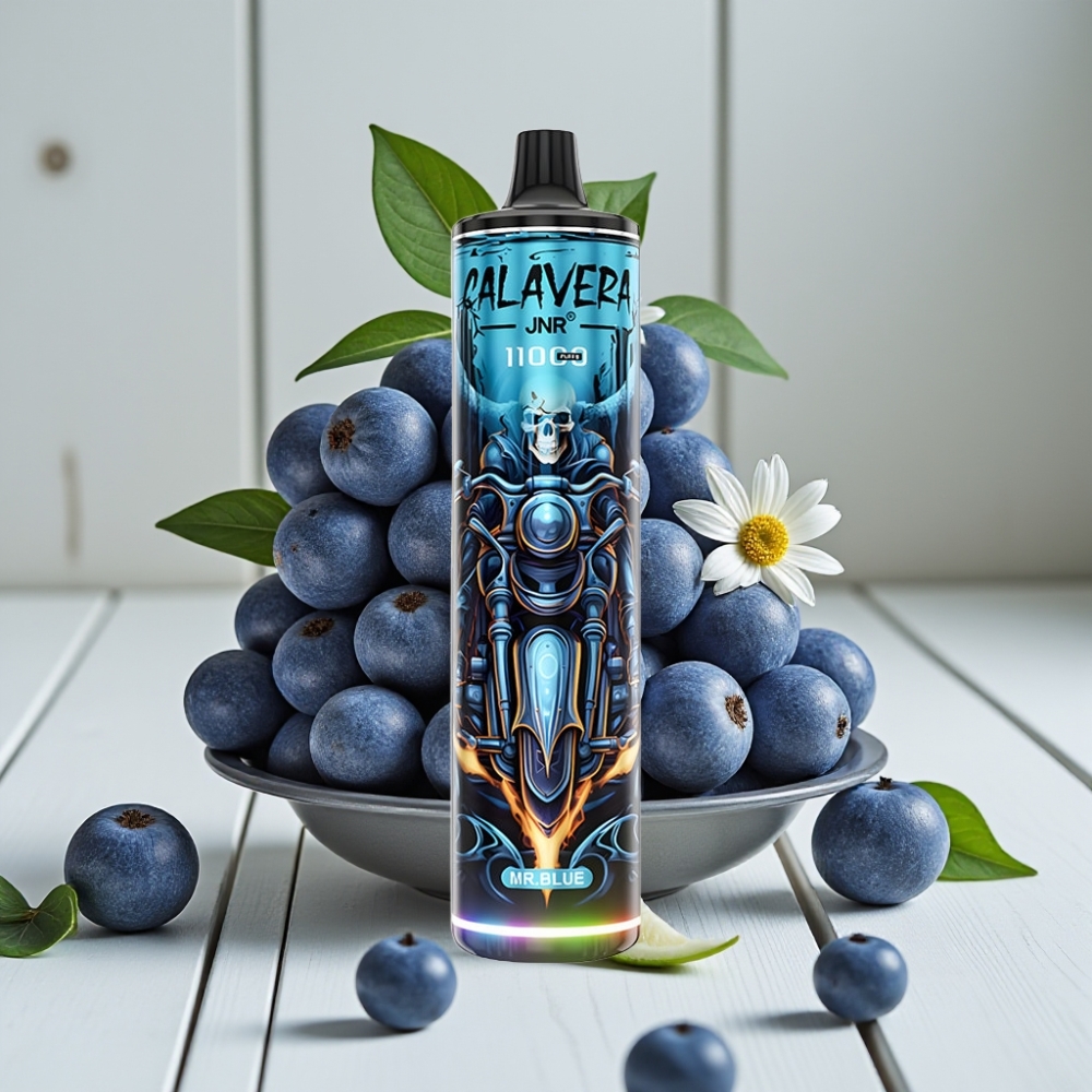 JNR Calavera 11000 Puffs Tek Kullanımlık Vape Bay Mr Blue – 850mAh 21ml 10ohm