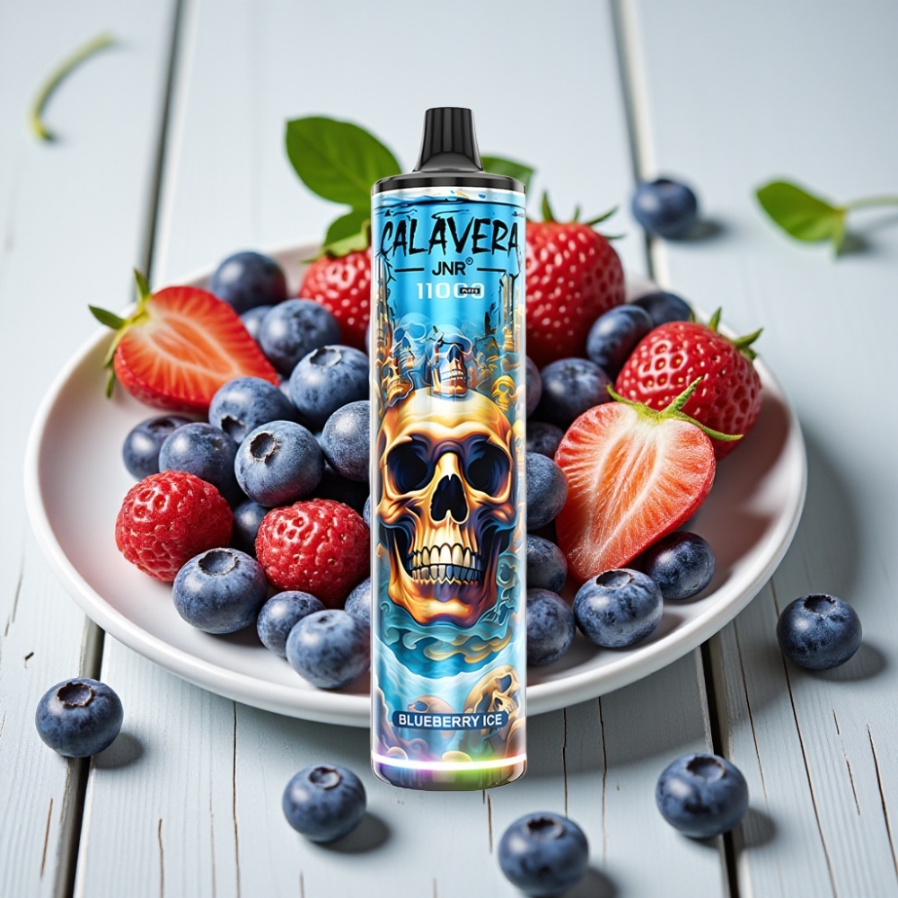 JNR Calavera 11000 Puffs Tek Kullanımlık Vape Yaban Mersini Buz 850mAh 21ml 10ohm