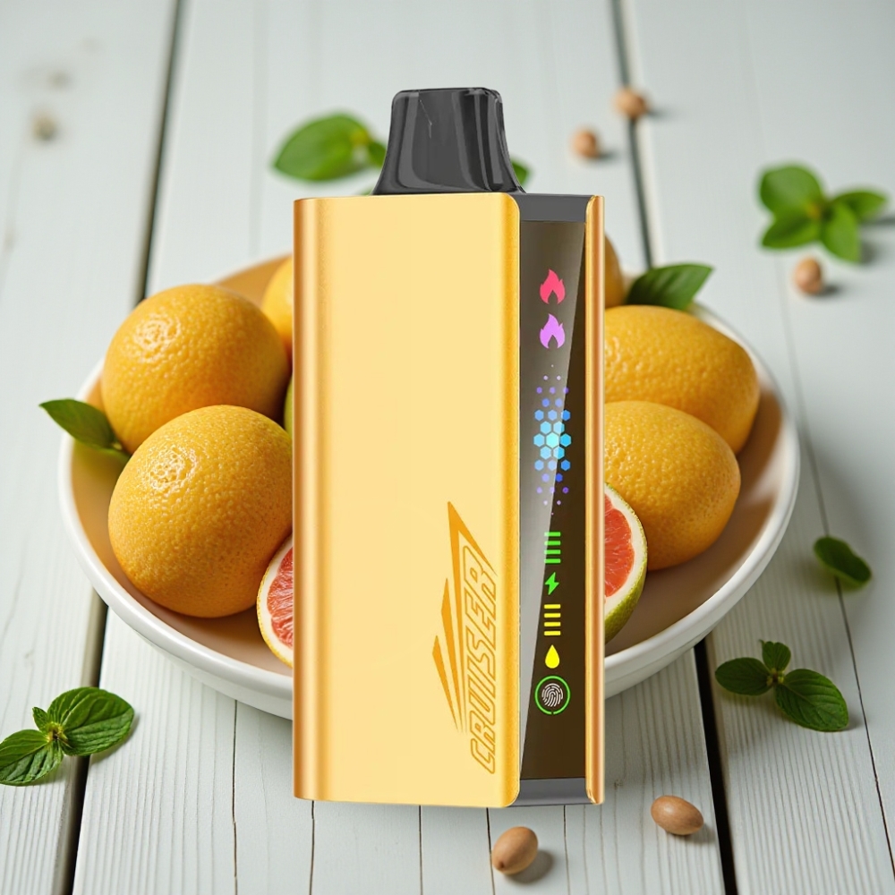JNR Cruiser 12000 Puffs Şarjsız Tek Kullanımlık Vape Cool Mint 25ml 3500mAh
