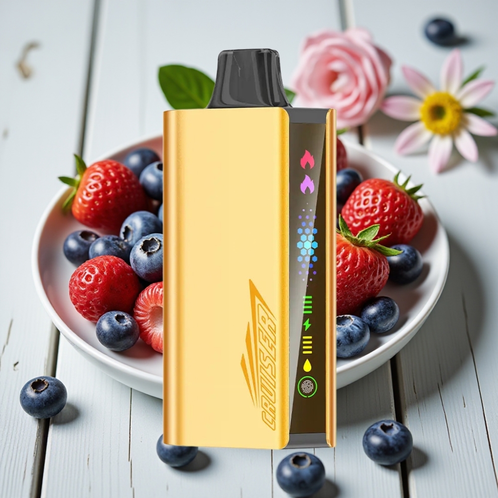 JNR Cruiser 12000 Puffs Şarjsız Tek Kullanımlık Vape Yaban Mersini Patlaması 3500mAh 25ml 12ohm
