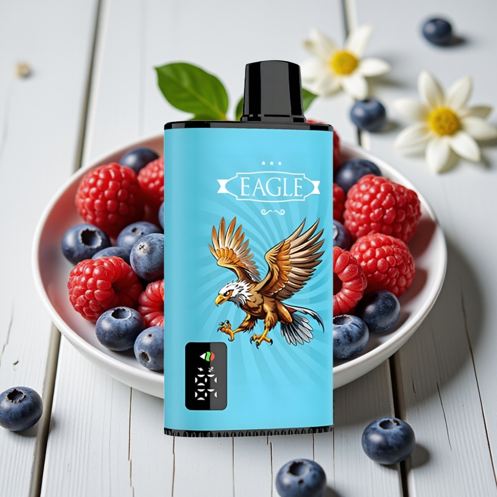 JNR EAGLE Smart 23000 Puffs Tek Kullanımlık Vape Yaban Mersini Ekşi Ahududu 25ml 750mAh Tip-C