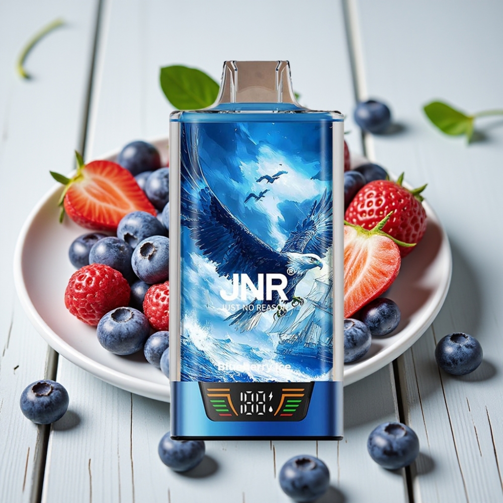 JNR Falcon Pro 28000 Tek Kullanımlık Vape Yaban Mersini Buz 30ml 950mAh 28000 Puff