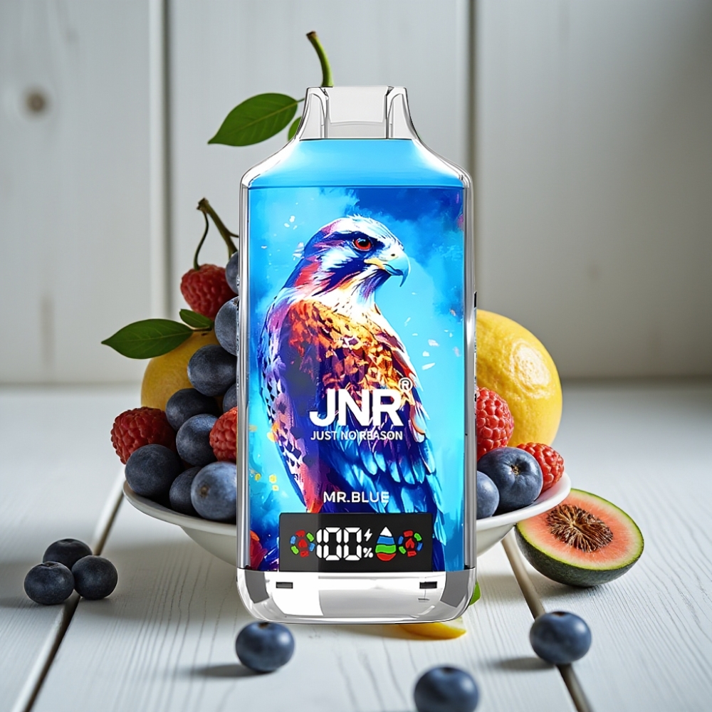JNR Falcon X 18000 Puffs Bay Bay (24ml 750mAh Type-C Şarj)