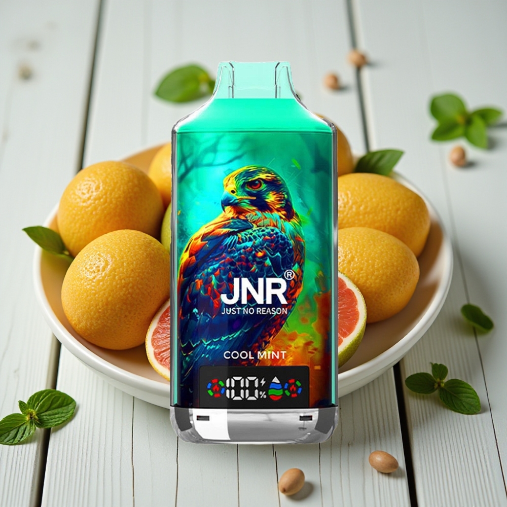 JNR Falcon X 18000 Puffs Serin Nane – 750mAh 24ml Dual Mesh Coil Type-C