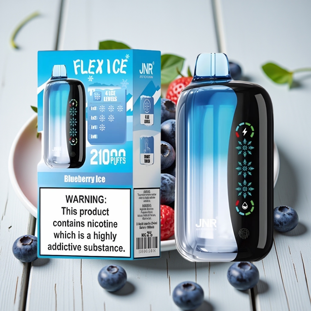 JNR Flex Ice 21000 Puff Tek Kullanımlık Vape Yaban Mersini Buz – 26ml 12 Ohm Tip-C