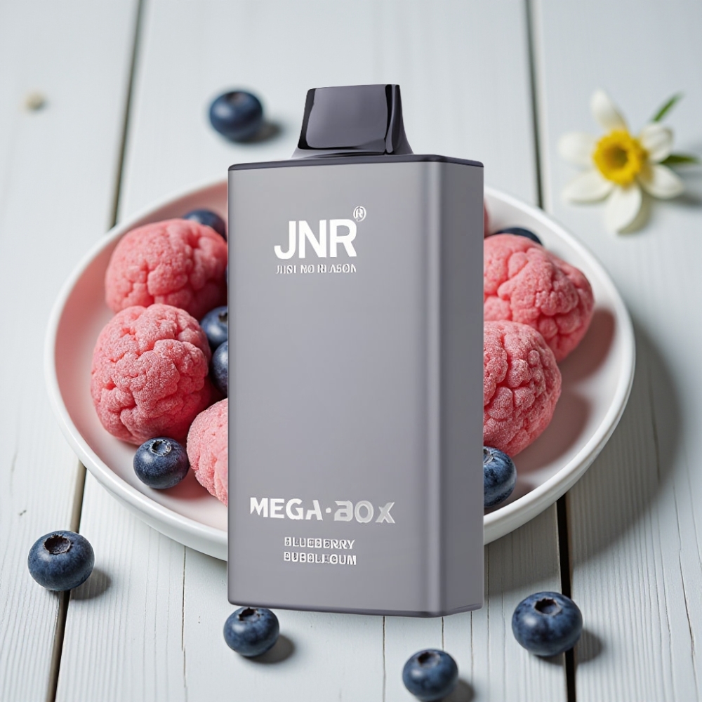 JNR Mega Box 25000 Puff Tek Kullanımlık Vape Yaban Mersili Sakız – 30ml 850mAh Çift Mesh