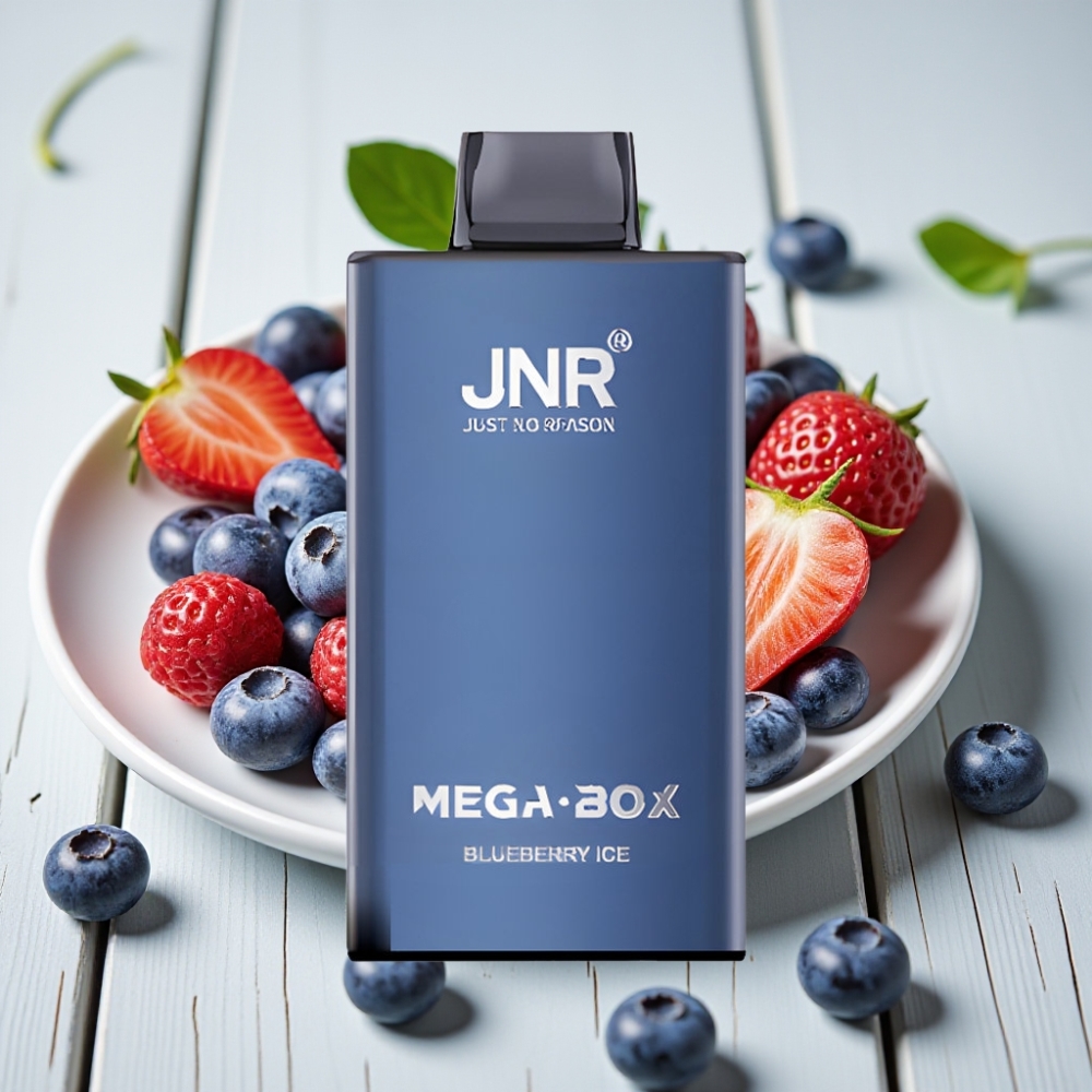 JNR Mega Box 25000 Puffs Tek Kullanımlık Vape Blueberry Ice 30ml 850mAh