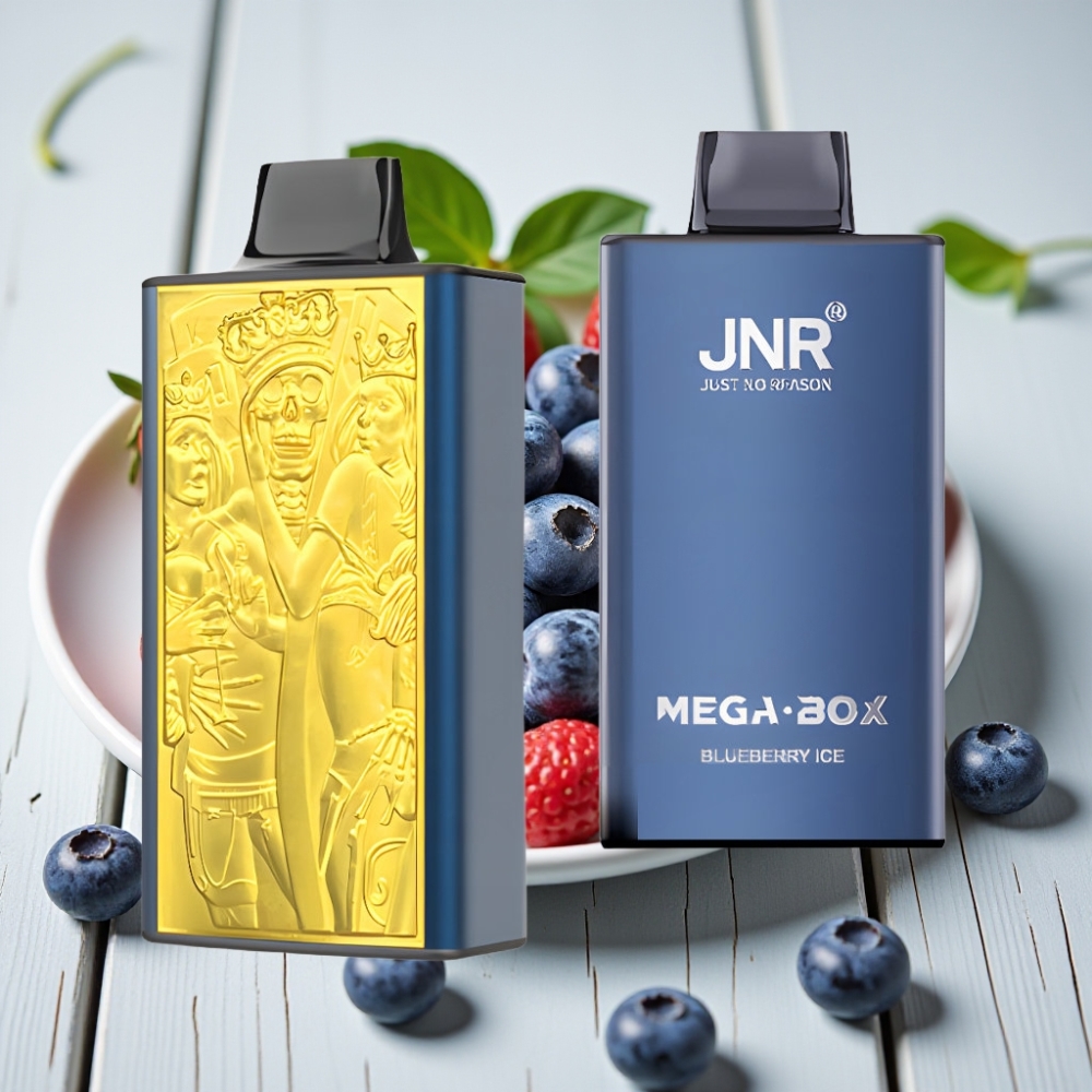 JNR Mega Box 25000 Puffs Tek Kullanımlık Vape Blueberry Ice 30ml 850mAh