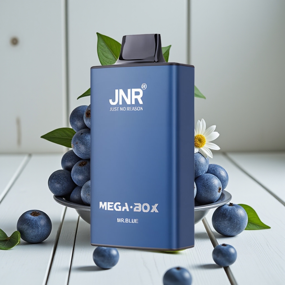 JNR Mega Box 25000 Puffs Tek Kullanımlık Vape Mr Blue - 30ml 850mAh Çift Mesh