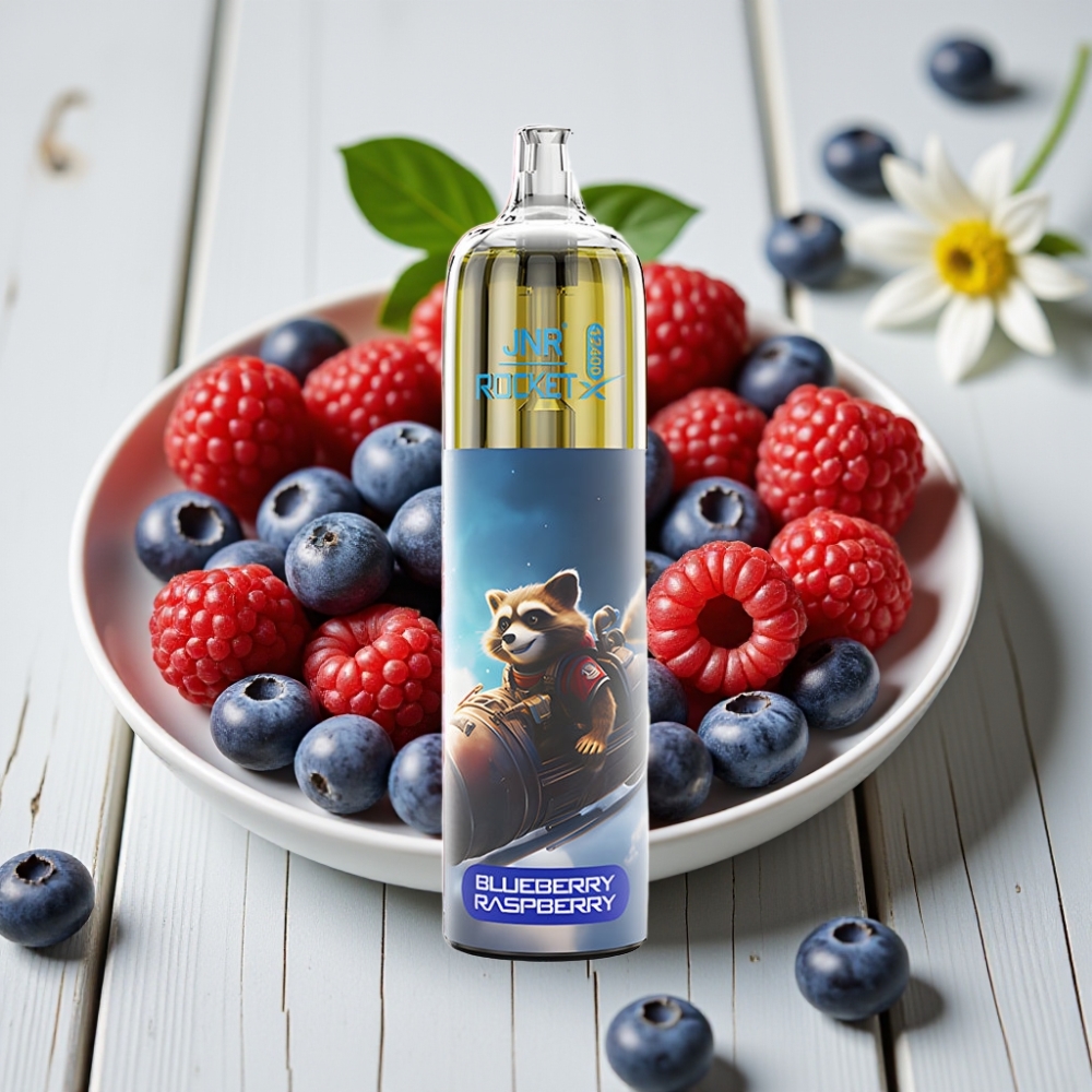 JNR Rocket-X 12400 Puffs Tek Kullanımlık Vape Yaban Mersini Ahududu 25ml 850mAh Type-C