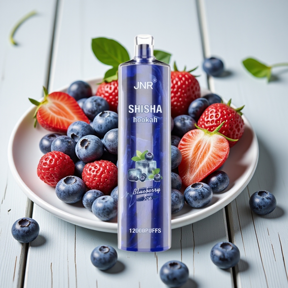 JNR Shisha Hookah 12000 Puffs Blueberry Ice 24ml 750mAh 06 Ohm