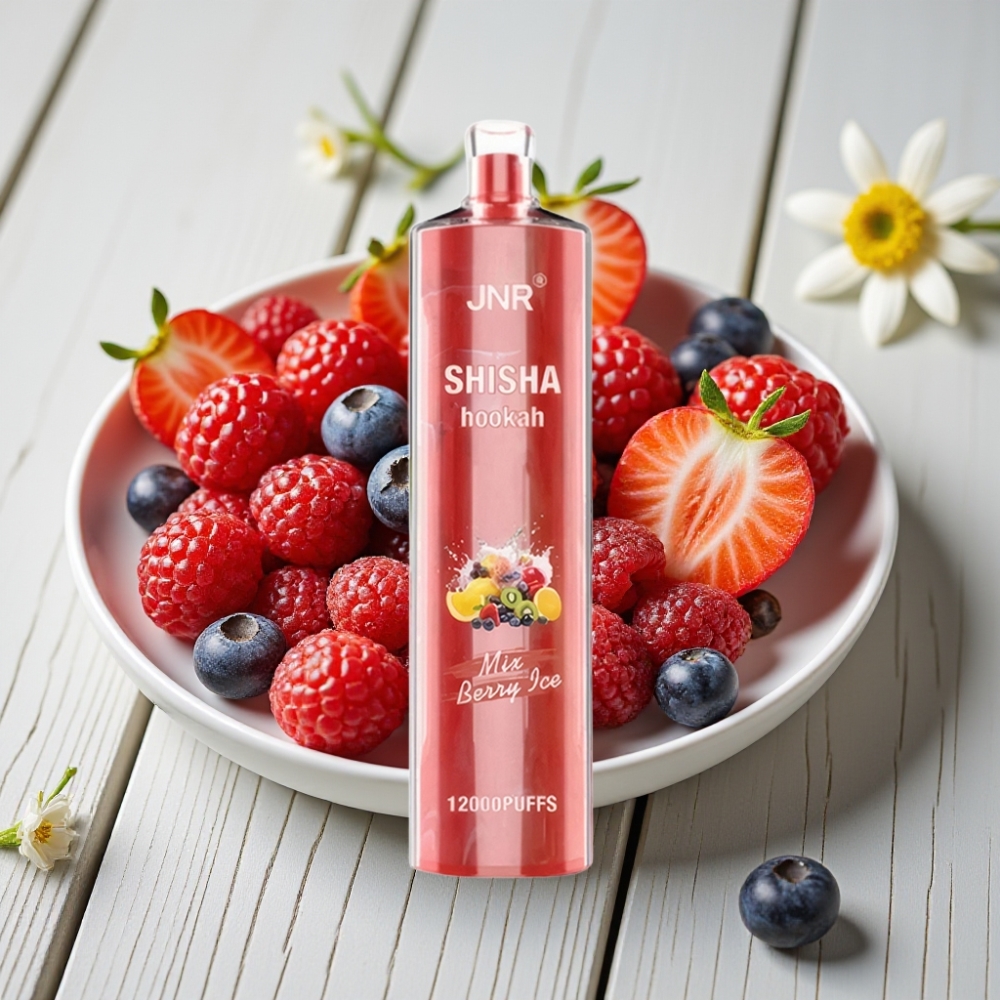 JNR Shisha Hookah 12000 Puffs Tek Kullanımlık Vape Berry Ice – 24ml 750mAh Type-C