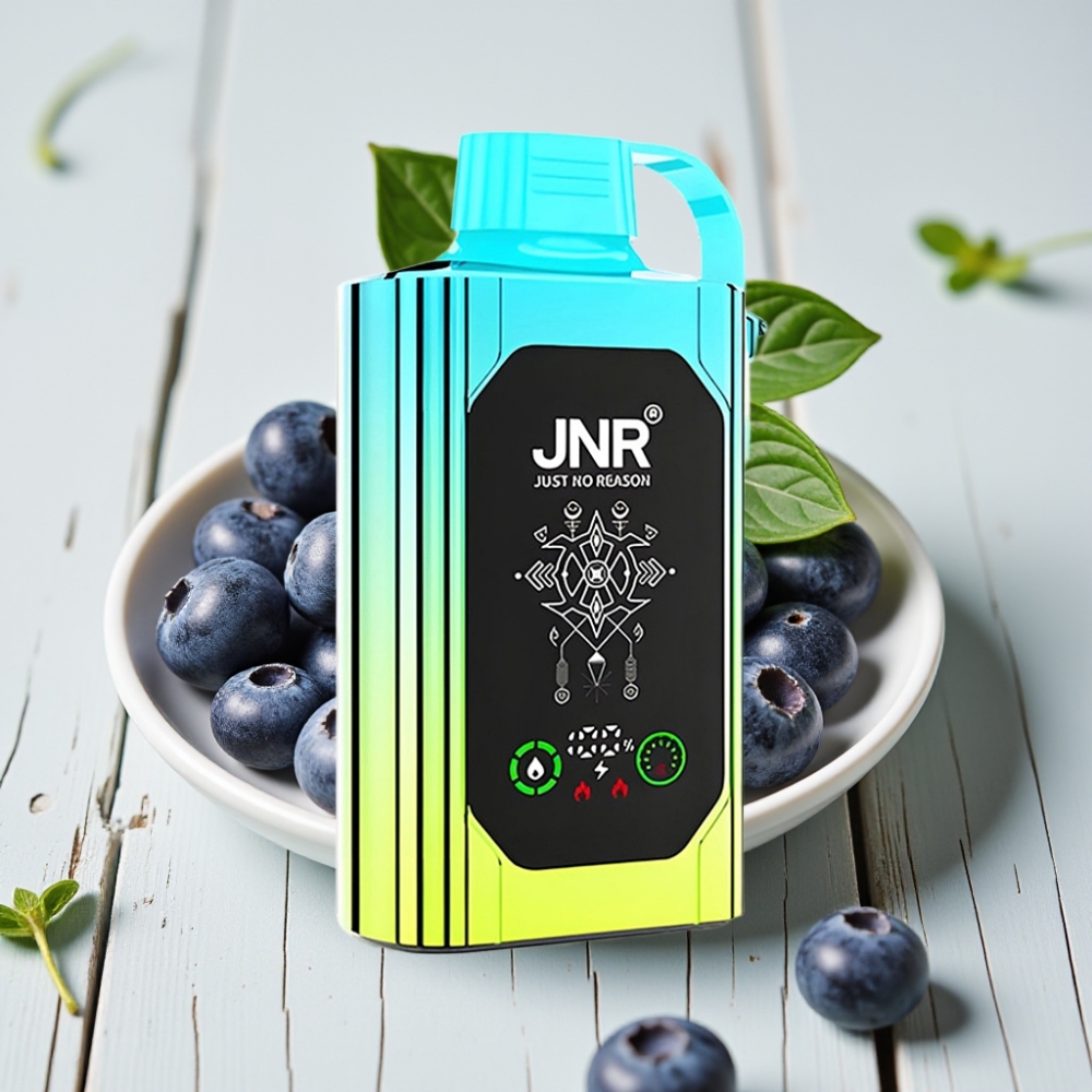 JNR Shisha Hookah Box 20500 Puffs Blueberry Nane - HD Ekran 1000mAh Type-C