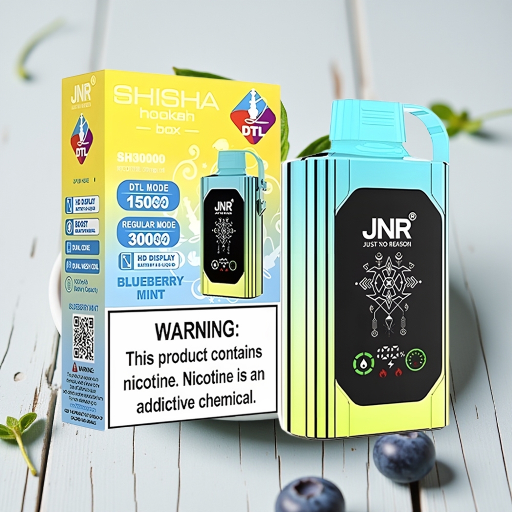 JNR Shisha Hookah Box 20500 Puffs Blueberry Nane - HD Ekran 1000mAh Type-C