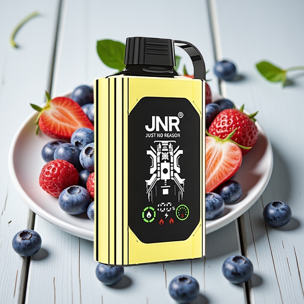 JNR Shisha Hookah Box 20500 Puffs Tek Kullanımlık Vape Yaban Mersini Buz - HD Display 1000mAh Type-C