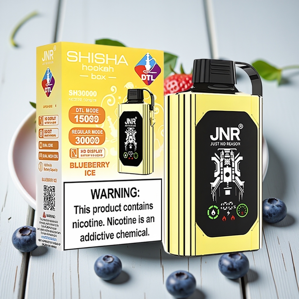 JNR Shisha Hookah Box 20500 Puffs Tek Kullanımlık Vape Yaban Mersini Buz - HD Display 1000mAh Type-C