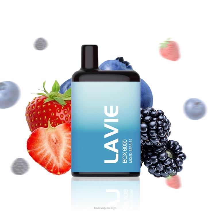 Lavie Vape Price 848HZ203 LAVIE BOX 6000 nefes karışık meyveler