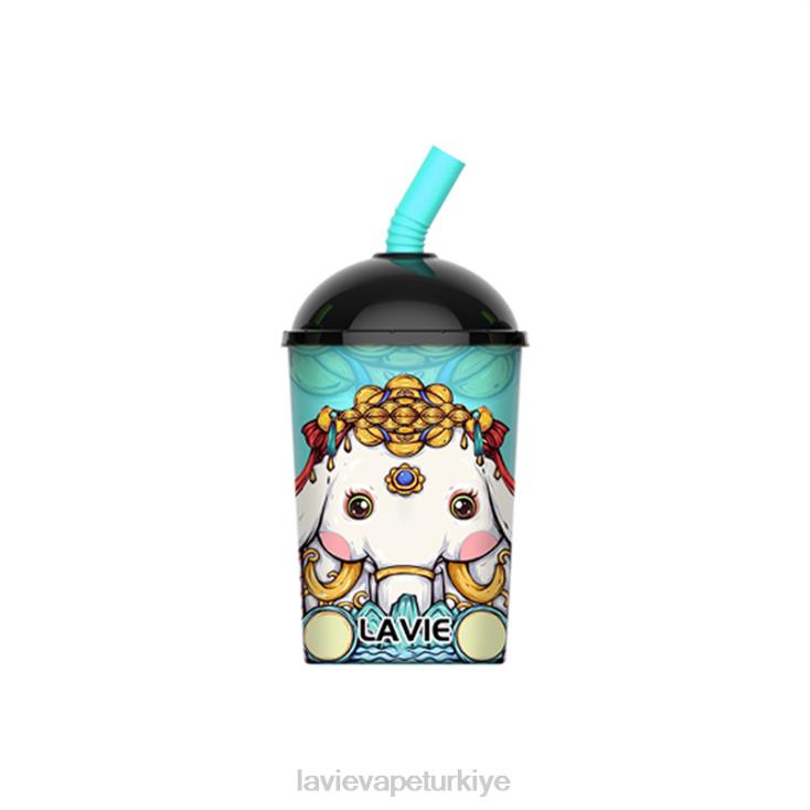 Lavie Vape Price 848HZ263 LAVIE Max Cup 8000 nefes naneli buz