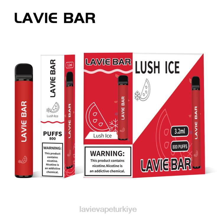Lavie Vape Price 848HZ308 LAVIE BAR 800 nefes yemyeşil buz