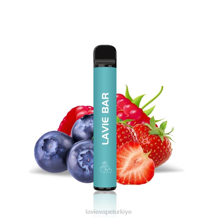 Lavie Vape Price 848HZ323 LAVIE BAR 2 versiyon 800 puf meyveyi karıştır