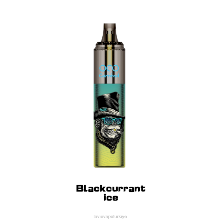 Lavie Vape Price 848HZ348 LAVIE OCO karnaval 10000 puf Frenk üzümü buzu