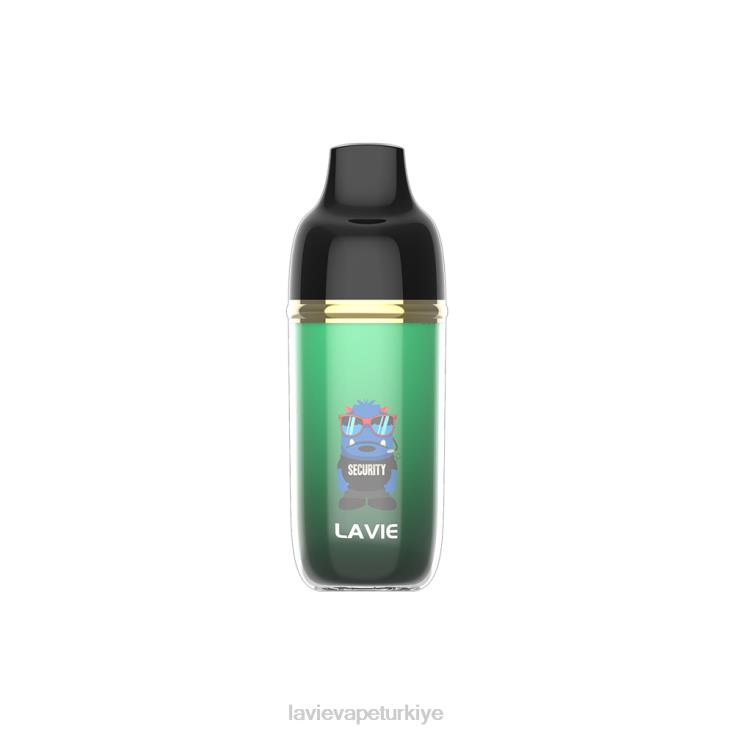 Lavie Vape Reddit 848HZ237 LAVIE Monster 6000 nefes limon otu