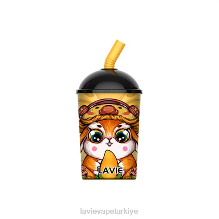 Lavie Vape Reddit 848HZ262 LAVIE Max Cup 8000 nefes mango buzu