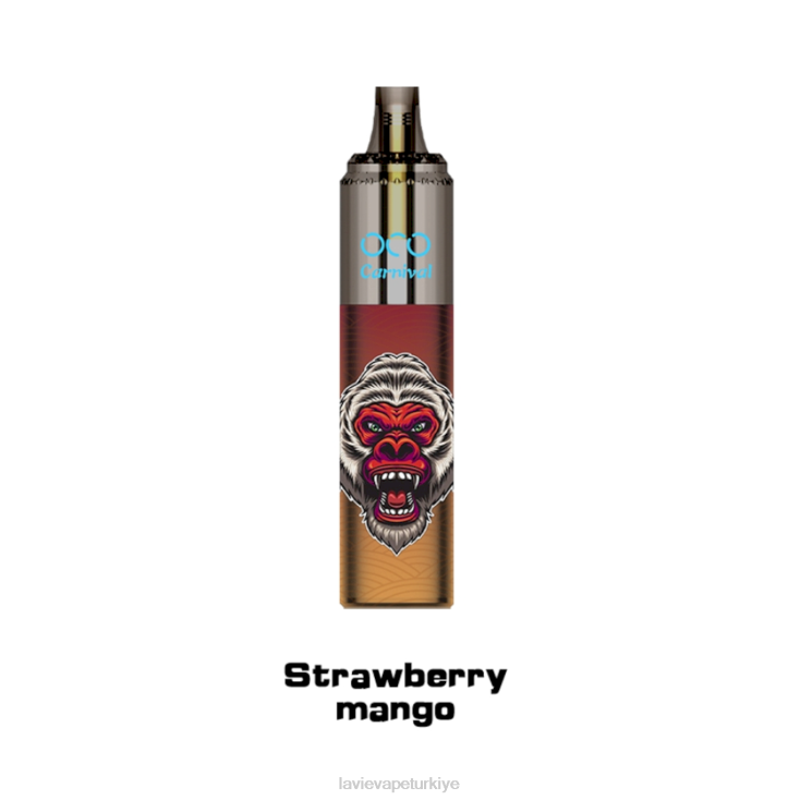 Lavie Vape Reddit 848HZ357 LAVIE OCO karnaval 10000 puf çilek mango