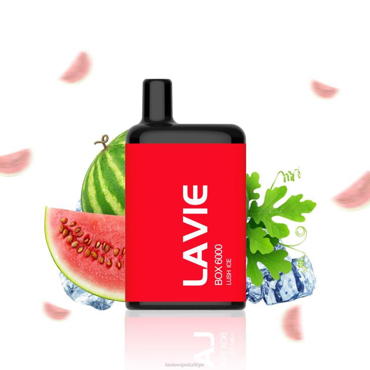 Lavie Vape Review 848HZ199 LAVIE BOX 6000 nefes yemyeşil buz