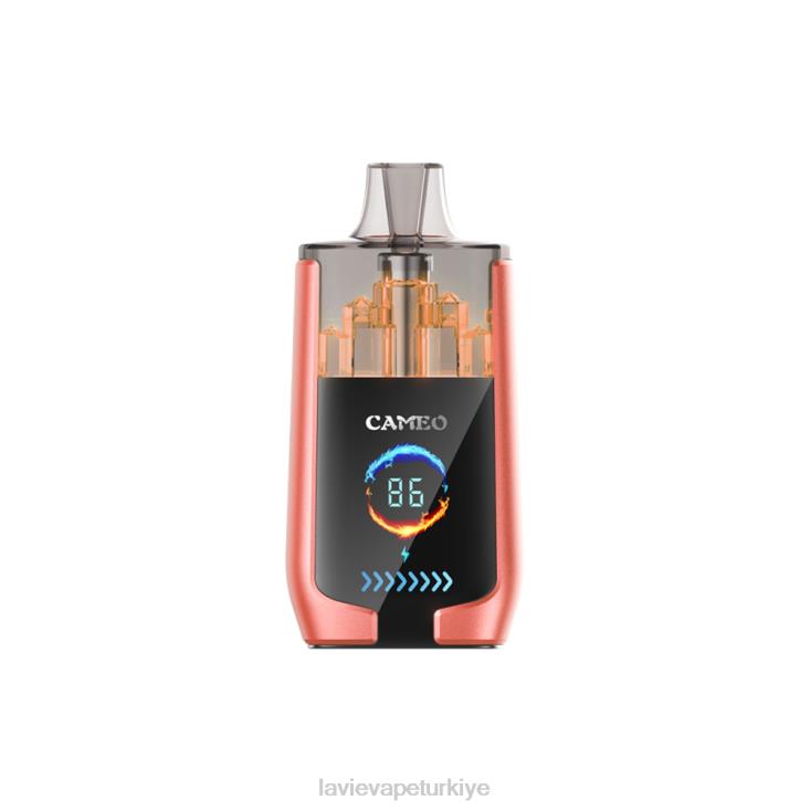 Lavie Vape Review 848HZ24 LAVIE CAMEO 30000 nefes çilek karpuz