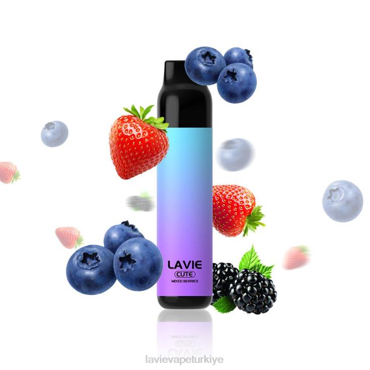 Lavie Vape Review 848HZ289 LAVIE BAR 3000 nefes karışık meyveler