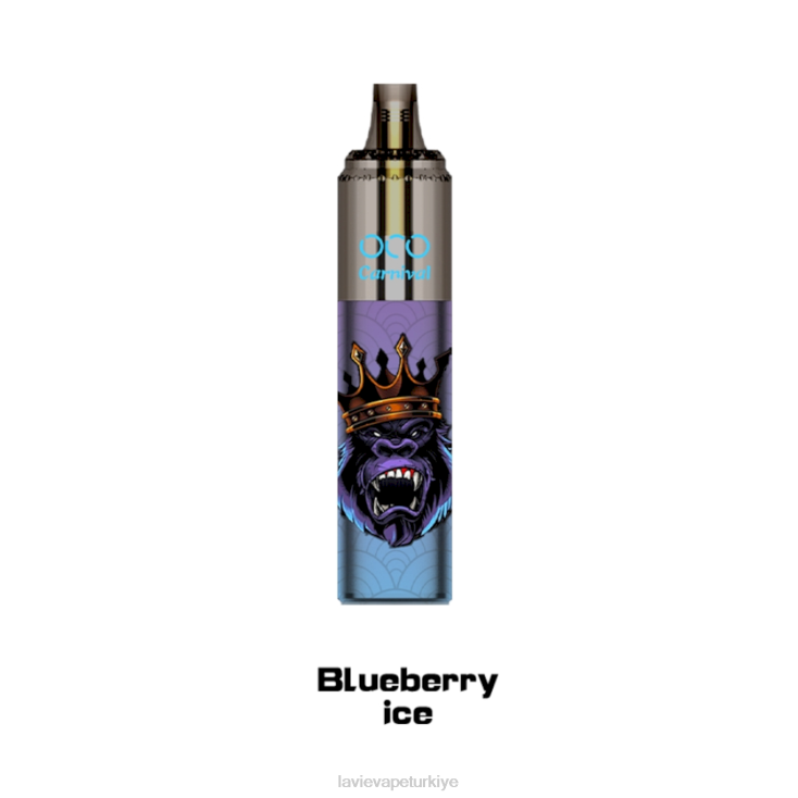 Lavie Vape Review 848HZ349 LAVIE OCO karnaval 10000 puf yaban mersinli buz