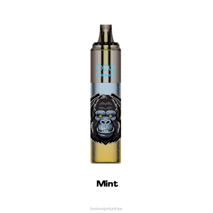 Lavie Vape Review 848HZ354 LAVIE OCO karnaval 10000 puf nane