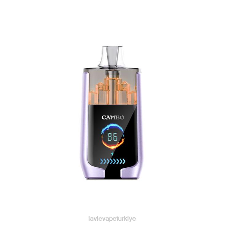 Lavie Vape Türkiye 848HZ16 LAVIE CAMEO 30000 nefes üzüm buzu
