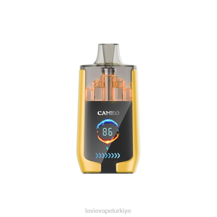 Lavie Vape Türkiye 848HZ21 LAVIE CAMEO 30000 nefes mango buzu
