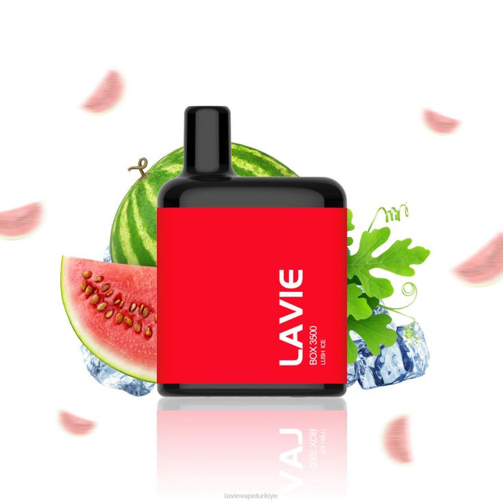 Lavie Vape Türkiye 848HZ211 LAVIE BOX 3500 nefes yemyeşil buz
