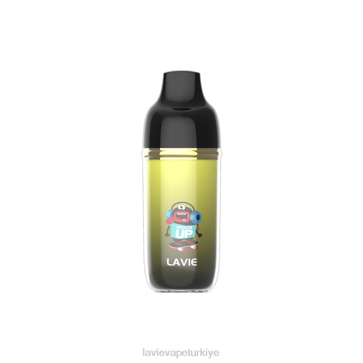 Lavie Vape Türkiye 848HZ241 LAVIE Monster 6000 nefes mango buzu