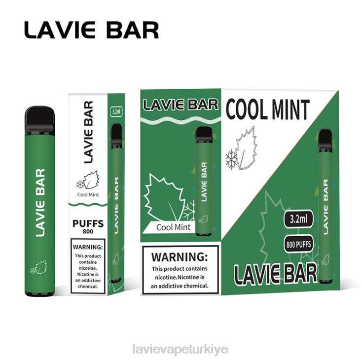 Lavie Vape Türkiye 848HZ311 LAVIE BAR 800 nefes serin nane