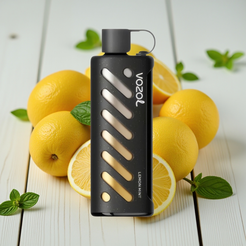 VOZOL Gear Shisha 25000 Puff Limon Nane – 1000mAh 5mg/ml Dual Mesh