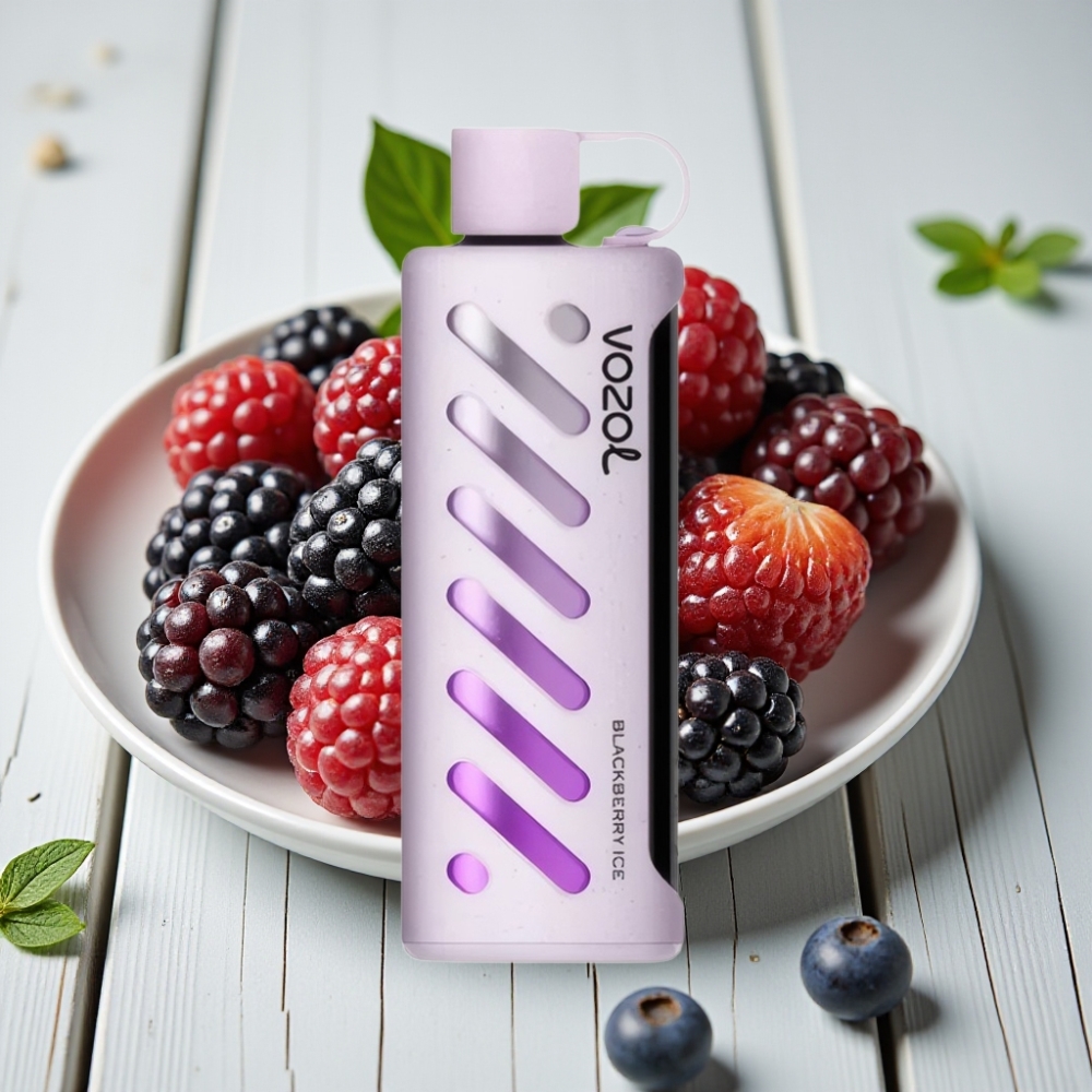 VOZOL Gear Shisha 25000 Puffs Çift Mesh Mod Böğürtlen Buz 1000mAh 5mg/ml
