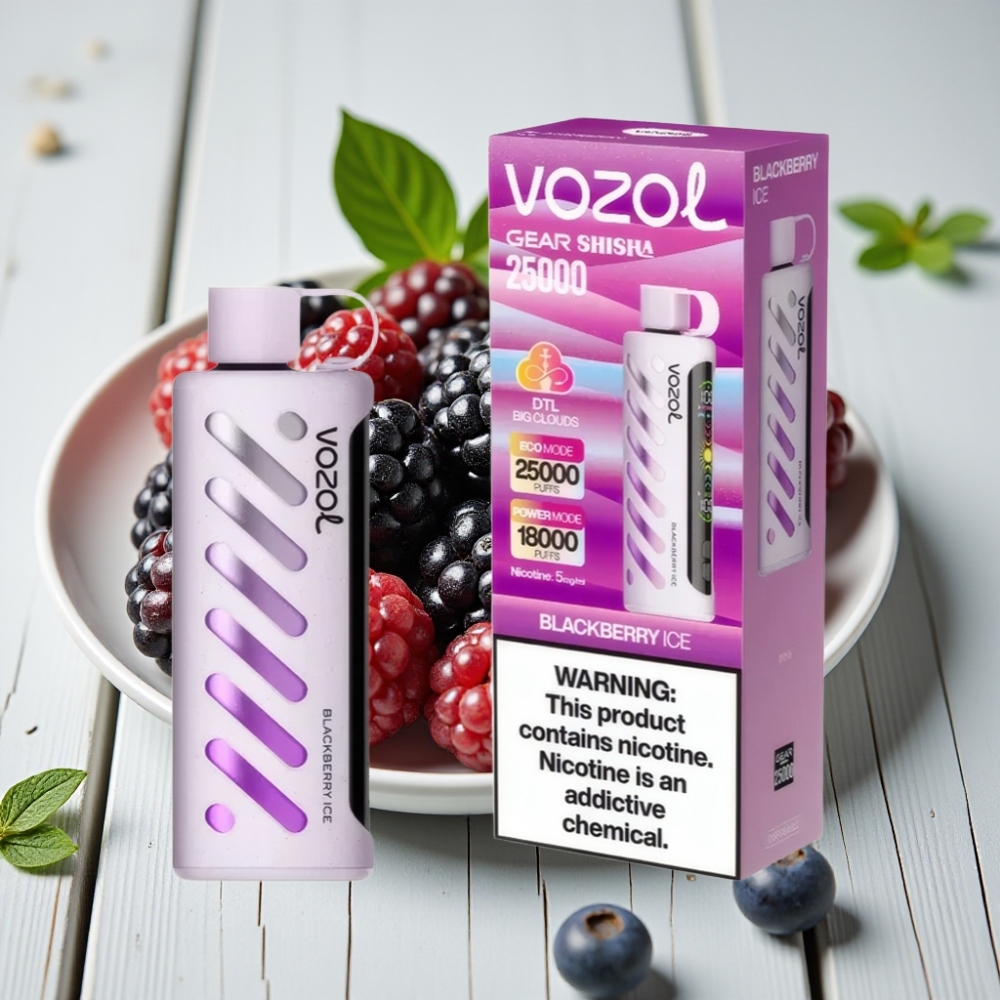 VOZOL Gear Shisha 25000 Puffs Çift Mesh Mod Böğürtlen Buz 1000mAh 5mg/ml