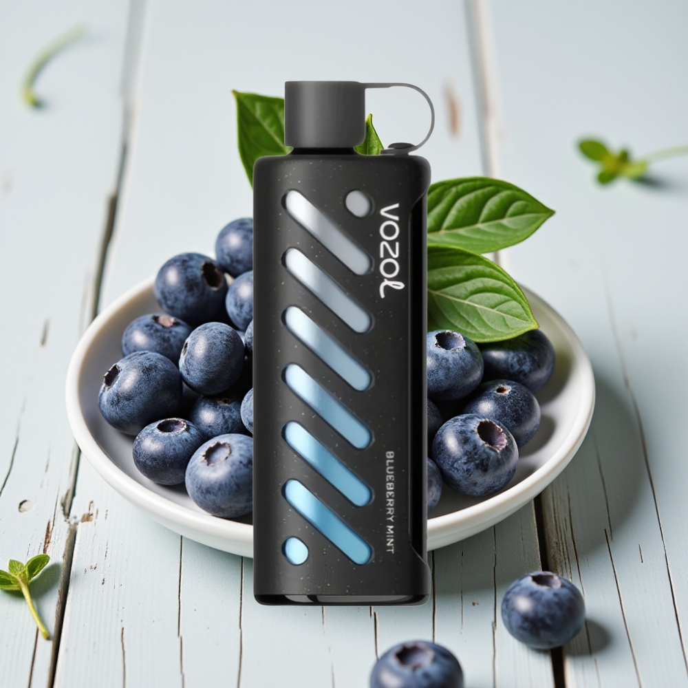 VOZOL Gear Shisha 25000 Puffs Çift Mesh Mod Yaban Mersini Naneli 1000mAh 5mg/ml