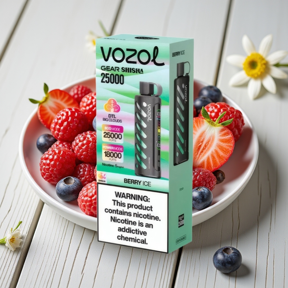 VOZOL Gear Shisha 25000 Puffs Çilek Nane 1000mAh 5mg/ml Dual Mesh