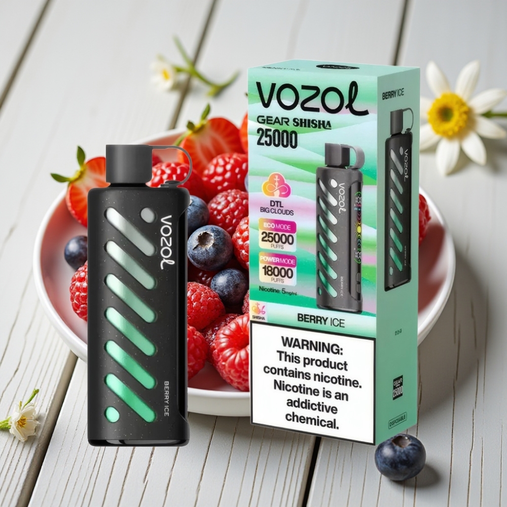 VOZOL Gear Shisha 25000 Puffs Çilek Nane 1000mAh 5mg/ml Dual Mesh