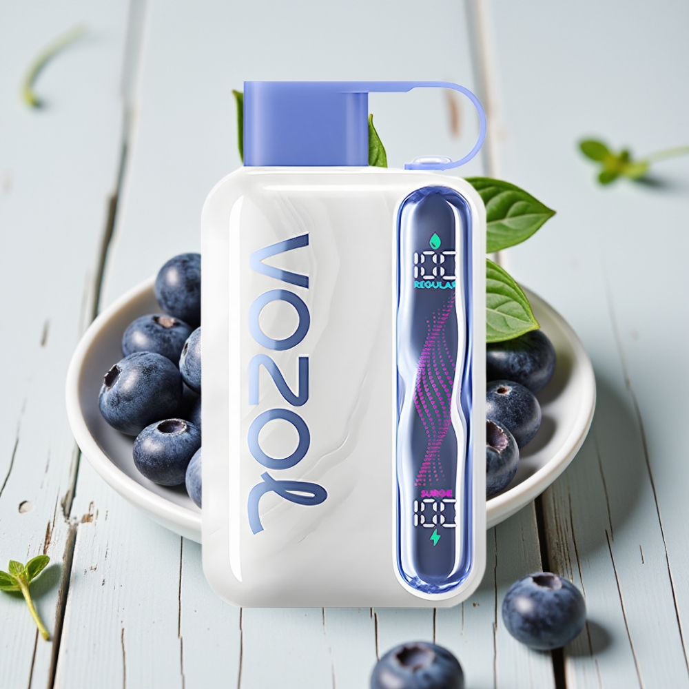 VOZOL STAR 40000 Puffs Blueberry Nane Aromalı Tek Kullanımlık Vape – 1000mAh Type-C