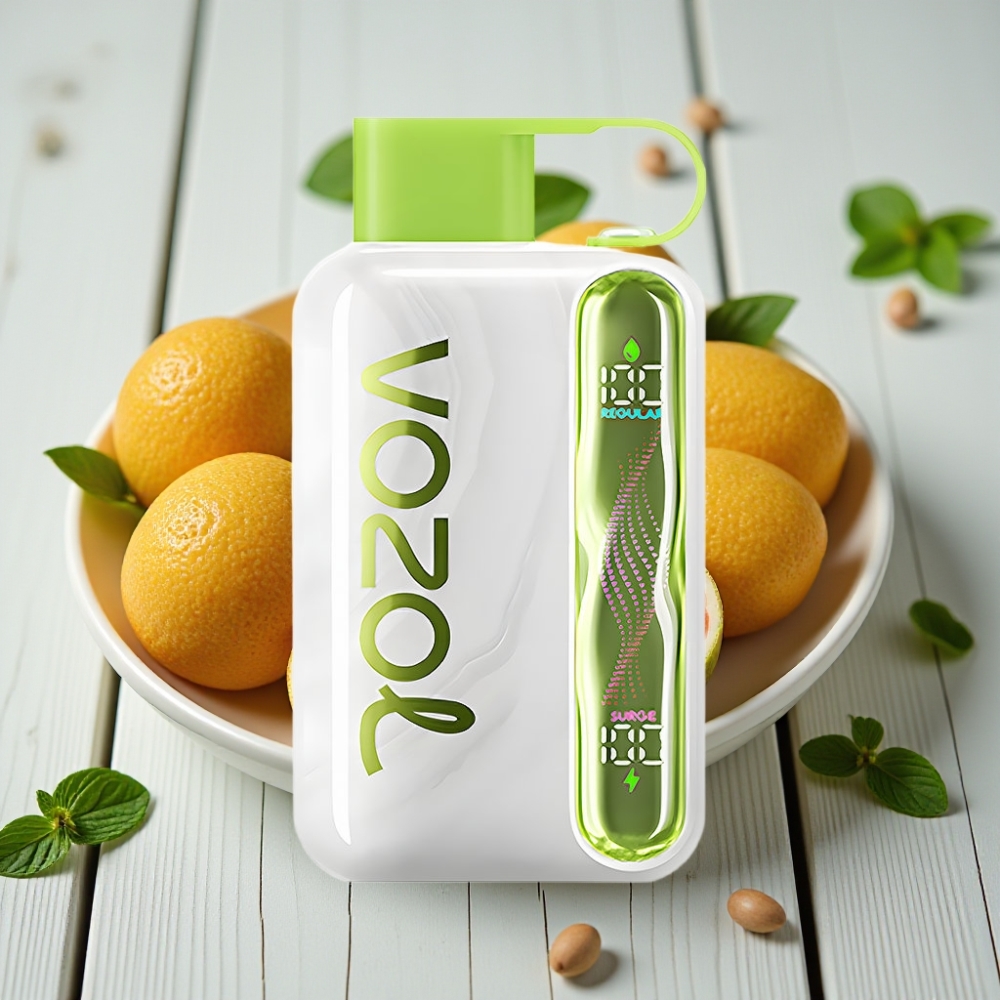 VOZOL STAR 40000 Puffs Tek Kullanımlık Vape Serin Nane – 1000mAh Type-C