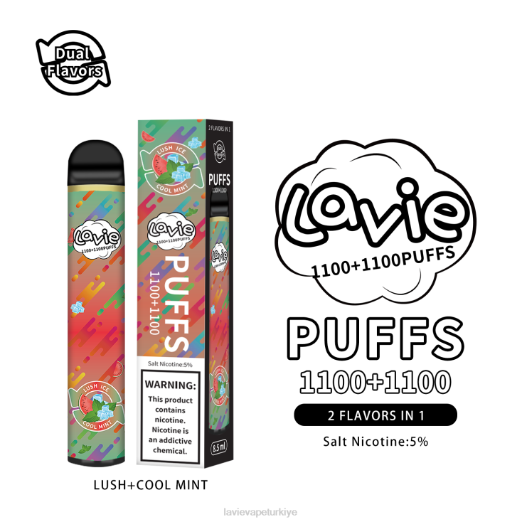 Lavie Vape Review 848HZ294 LAVIE BAR Switch 2200 nefes bereketli/soğuk nane