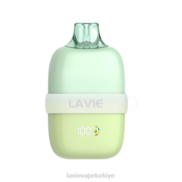 Lavie Vape Reddit 848HZ92 LAVIE INSIDER 12000 nefes yeşil elmalı buz