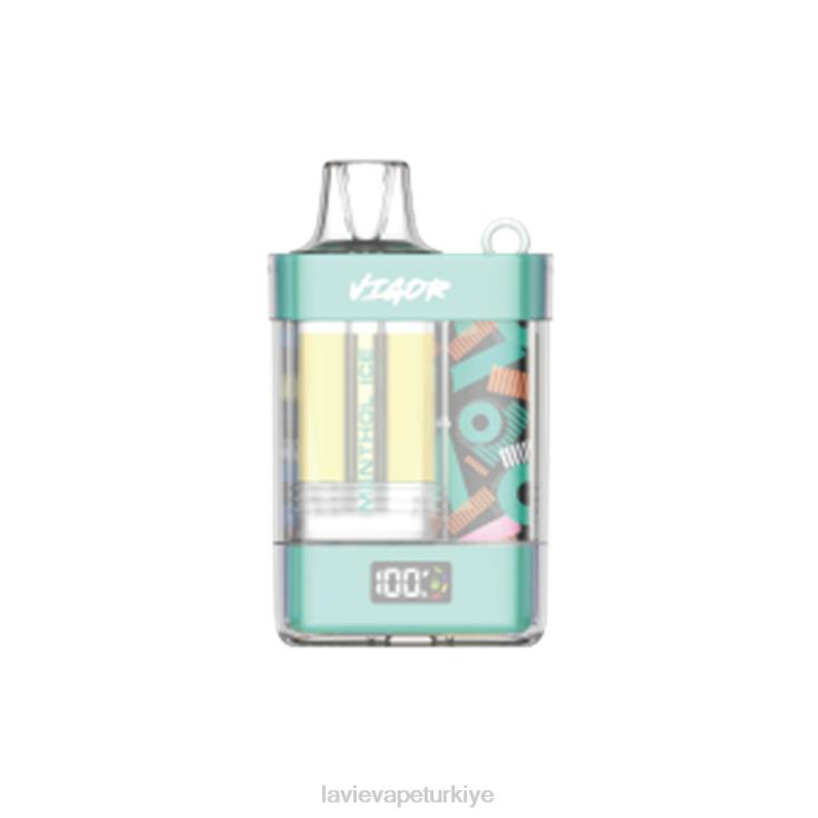 Lavie Vape Reddit 848HZ2 LAVIE VIGOR 15000 nefes mentollü buz